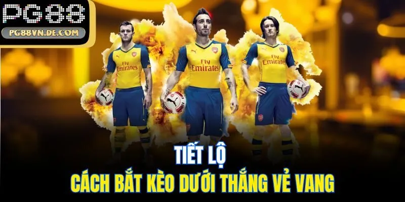 Kèo Dưới Là Gì? Tiết Lộ Cách Bắt Kèo Vào Bờ An Toàn Tại Nhà Cái PG88 7 Tiết lộ cách bắt kèo dưới thắng vẻ vang