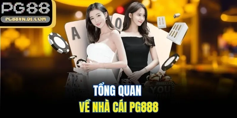 Chính sách bảo mật PG88 mới nhất - Yên tâm khi cá cược online 1 Tổng quan về nhà cái PG888